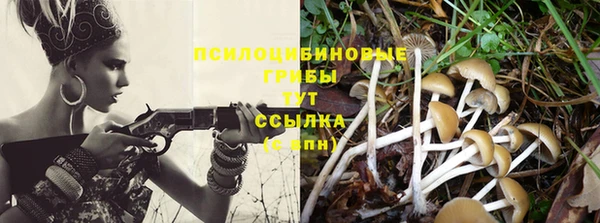 ПСИЛОЦИБИНОВЫЕ ГРИБЫ Шадринск