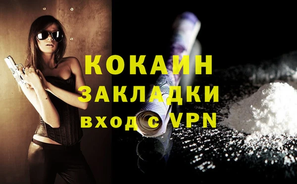 ALPHA PVP Чердынь