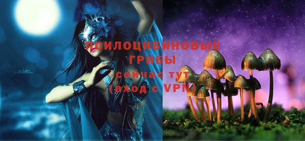 соль ск Чекалин